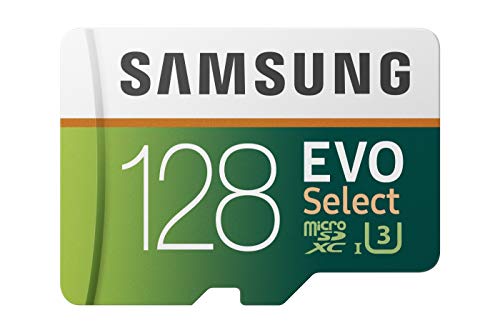 Carte micro SD Samsung 