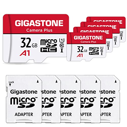Carte micro SD Gigastone 