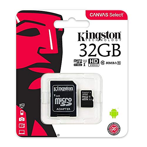 Carte micro SD Kingston 