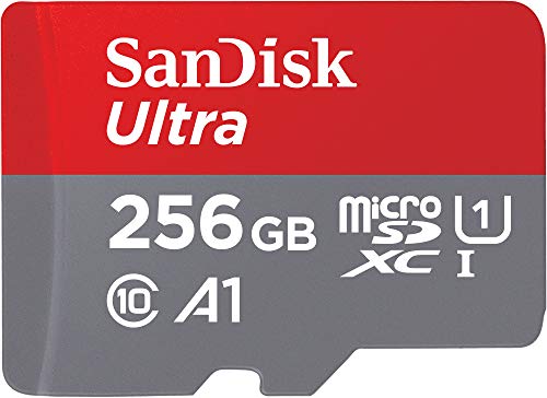 Carte micro SD SanDisk 