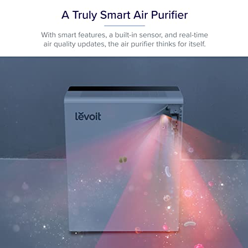 Purificateur d'air pour bébé Levoit 