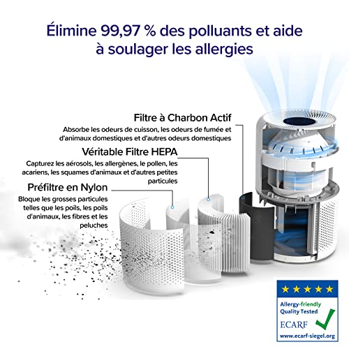 Purificateur d'air pour grande pièce LEVOIT 