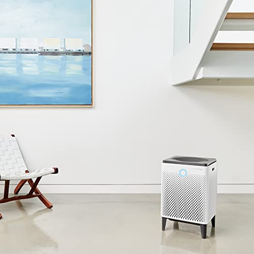 Purificateur d'air pour toute la maison Coway