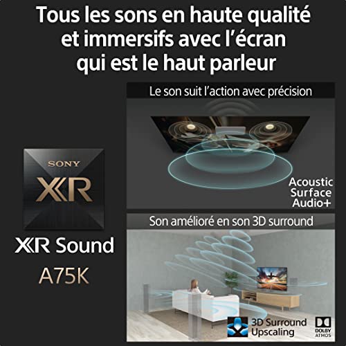 Téléviseur OLED Sony 