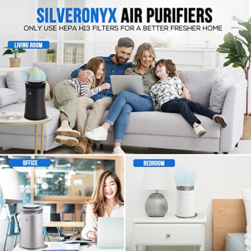 Purificateur d'air SilverOnyx 