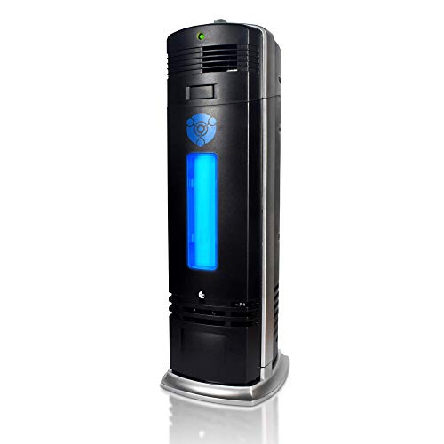 Purificateur d'air ionique OION 